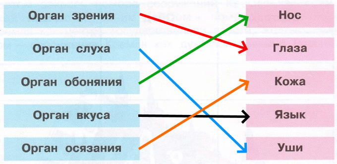 Решение рисунок 1