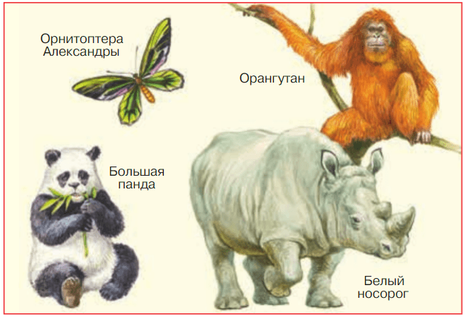 Задание рисунок 2