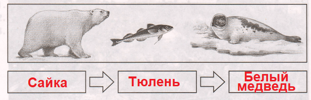 Решение рисунок 1