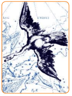 Задание рисунок 2