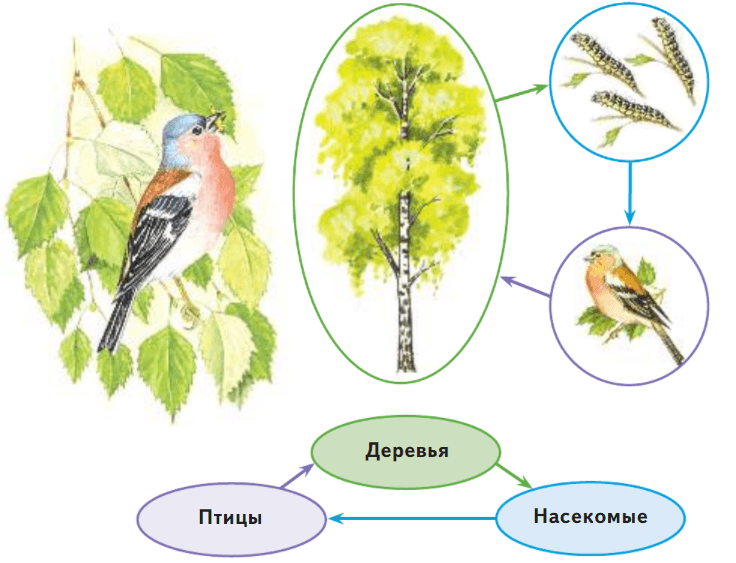 Задание рисунок 1