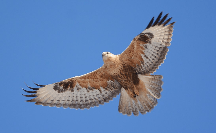 Решение рисунок 2