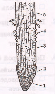 Задание рисунок 1